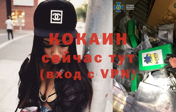 стаф Бугульма