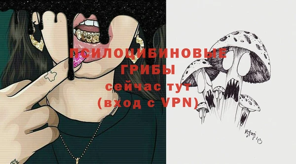ALPHA PVP Бородино